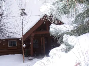 Full Log Family Lodge - private dock/beach & fire pit