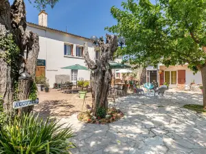 Hotel les Vieux Acacias