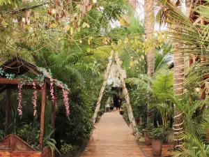 Palo奇林吉託飯店