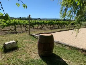 Gîtes la Ferme de Marguerite