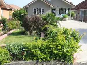 Soleil de la Palms