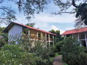 Blue Turtle Hotel