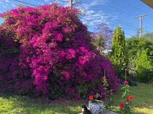 Private bath garden view guest room pet friendly