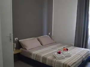 Palm House Affitta Camere