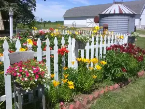 Historic Country Farmhouse for ANY Season!