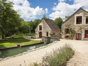 Independent Water Mill Cottage in Rix, Burgundy, on 14 acres of meadows & water
