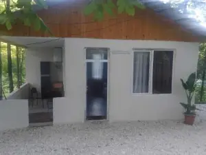 Martvili Canyon Cottage in the Forest