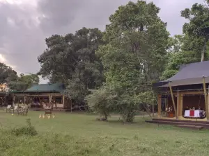 Elewana Elephant Pepper Camp