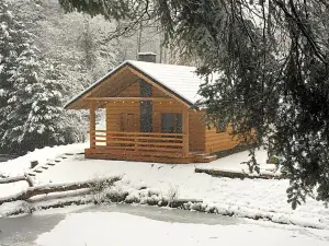 Bieszczady Domek Nad Stawem