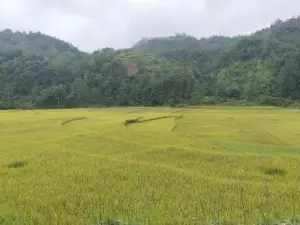 Kiên Mán Homestay