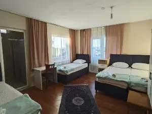 둔야 판시온
