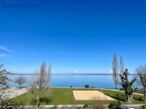 Amazing Lakeview Flat Horn