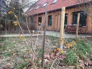 Broockhof Ferienwohnung Unterm Sternenhimmel in Mecklenburg