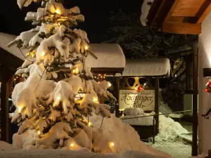 Hotel Hachinger Hof