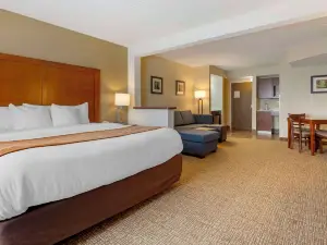 Comfort Inn & Suites Wilkes Barre - Arena