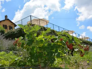 Ca Villa Club Agriturismo