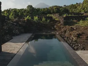 Pico Vineyards - by Unlock Hotels