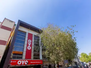 OYO 71069 Hotel S R