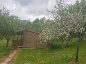 Camping Zamolxe