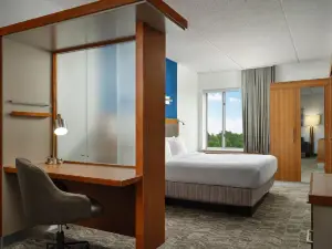 สปริงฮิลล์สวีทส์ บายแมริออท พิตส์เบิร์ก เมาท์เลบานอน