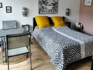 L'évidence St André