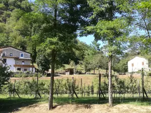 Agriturismo di là Dall'Acqua