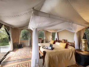 ซารูนี ไวลด์