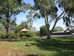 Melaleuca Lodge Beaconsfield