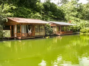 Cabañas del Lago