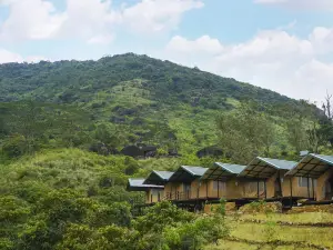 Wild Glamping