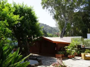 Villa del Monte