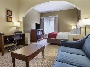 Comfort Inn & Suites Mocksville I-40