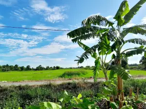 Dmana Homestay Semi-D 2