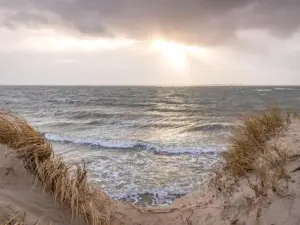 Lütt Nest Föhr