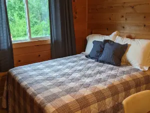 3 Br Lakefront Cottage on Beautiful Sandy Beach Lake Missaukee