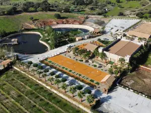 Complejo Rural la Paloma