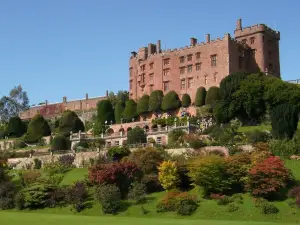 The Forest Country House B&B