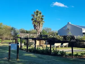 River Rock Lodge