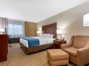 Comfort Inn Binghamton I-81