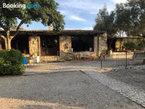 Roba Degli Ulivi