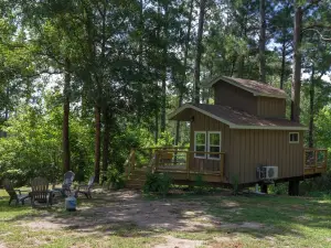 Escape to the Canopy: Enchanting Treehouse Retreat in the Heart of Nature
