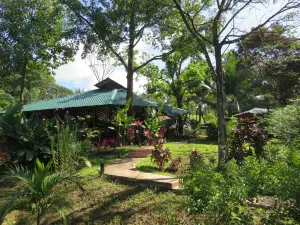 Oasis de las Palmas