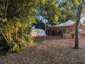 Eco-Camping de Helleborus, Yurt, Bell & Safari Tent, Pipo, Caravans, Dorms and Units