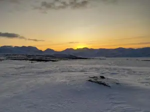 Fjøset