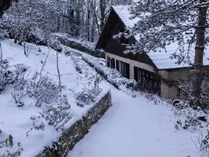 Camp Paradis