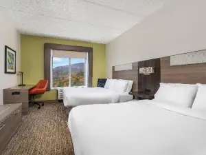 Holiday Inn Express & Suites Chattanooga-Lookout Mtn