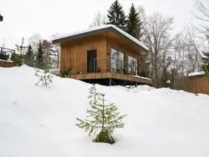 Lesnoy Voskhod Mini-Hotel