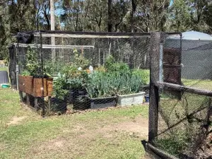 Serendipity Cottage Farm Stay
