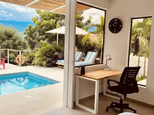 คาซาโดโรเธีย