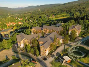 Forest Park Resort & SPA